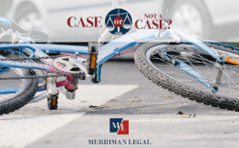 Dog bite in a bar, bicycle crash, delayed concussion