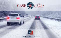 Snowy scenarios: slip & fall, snowplow, work travel in blizzard