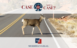 Deer crossing, wet roads, Zantac video