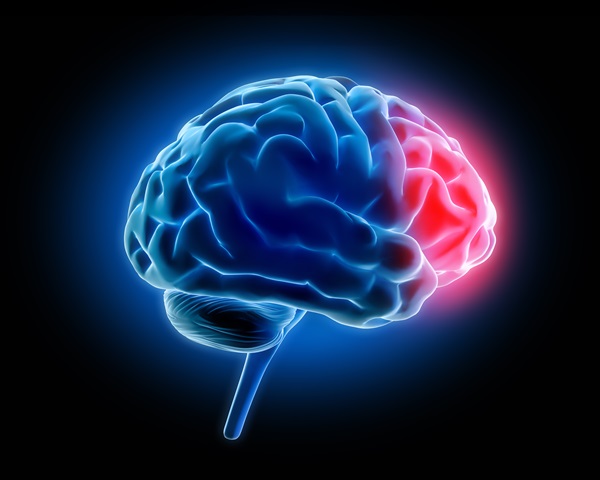 A 3D medical illustration of a human brain shown in blue, with a bright red glowing area on the frontal lobe to indicate a traumatic brain injury from a slip and fall accident in Cleveland, Ohio.
